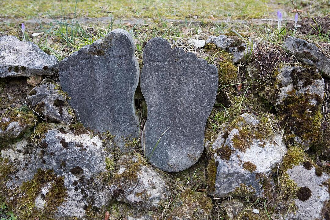 SoS; Neuses-Poxstall; Gemeindeseite; Foto: Barbara Herbst