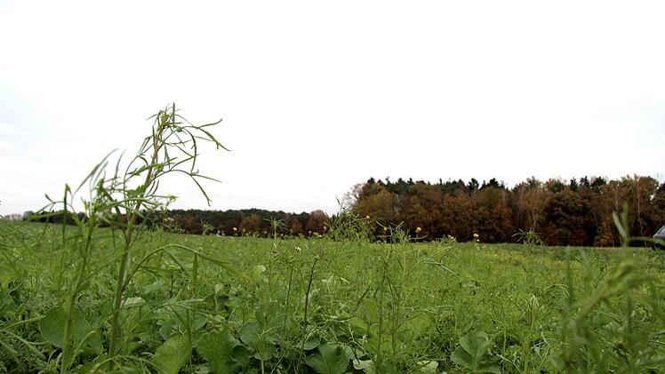Eindrücke von der Info-Veranstaltung   Richard Sänger
