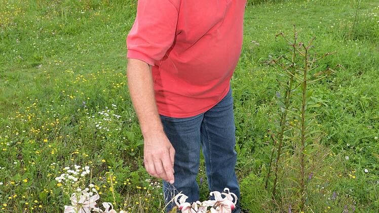 Foto: Ronald Rinklef