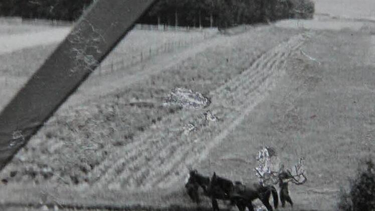 Blick von einem Hochspannungsmasten auf die Grenze bei Brennersgrün. Mit Pferdekraft wurde 1957 der Boden geeggt, um Spuren von Flüchtlingen erkennen zu können.