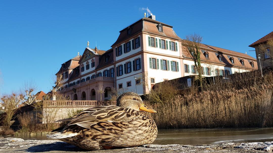 Die schönsten Frühlingsfotos aus Bad Kissingen und Umgebung