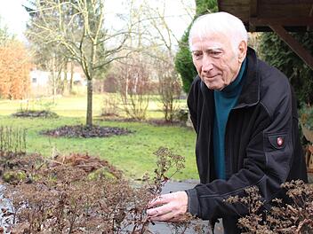 Im Winter lässt Gerd Fleischmann die abgeblühten Sträucher stehen, dass die Wildvögel die Körner essen können. Foto: Cindy Dötschel