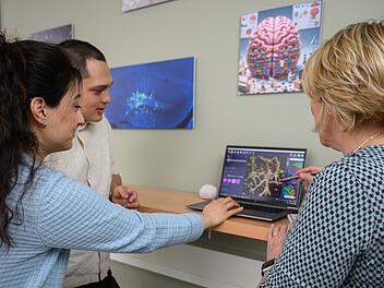 Uniklinik W&uuml;rzburg: Neues 3D-Modell f&uuml;r Behandlung von Hirnmetastasen