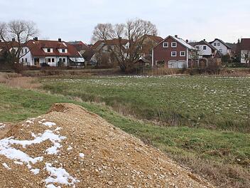 Der Luderweiher in Höchstadt-Süd wurde schon im vergangenen Sommer nicht mehr geflutet. Auf dem schlammigen Untergrund wächst inzwischen das Gras. Heuer wird im vorderen Bereich (am unteren Bildrand) ein "naturnahes" Regenrückhaltebecken eingebaut.  Foto: Andreas Dorsch