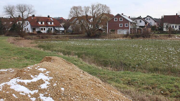 Der Luderweiher in Höchstadt-Süd wurde schon im vergangenen Sommer nicht mehr geflutet. Auf dem schlammigen Untergrund wächst inzwischen das Gras. Heuer wird im vorderen Bereich (am unteren Bildrand) ein "naturnahes" Regenrückhaltebecken eingebaut.  Foto: Andreas Dorsch