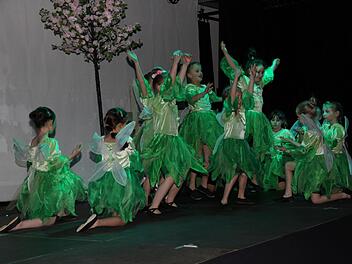 Die Tanzaufführung der Kinder der Tanzschule "Tanzpunkt". Foto: Mathias Erlwein