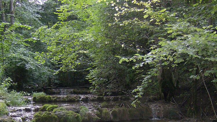 Ein seltenes Naturschauspiel, ...