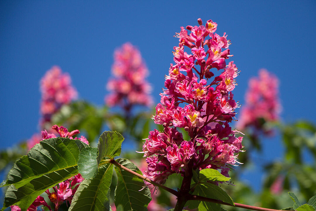 Fotos Konrad Thomann