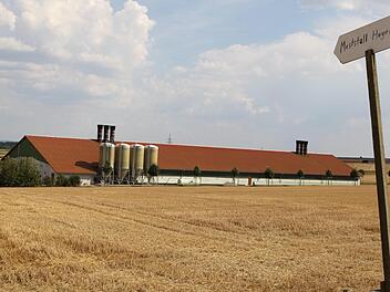 Der Eigentümer der Hähnchenmastanlage bei Messenfeld möchte diese vergrößern. Foto: Markus Drossel