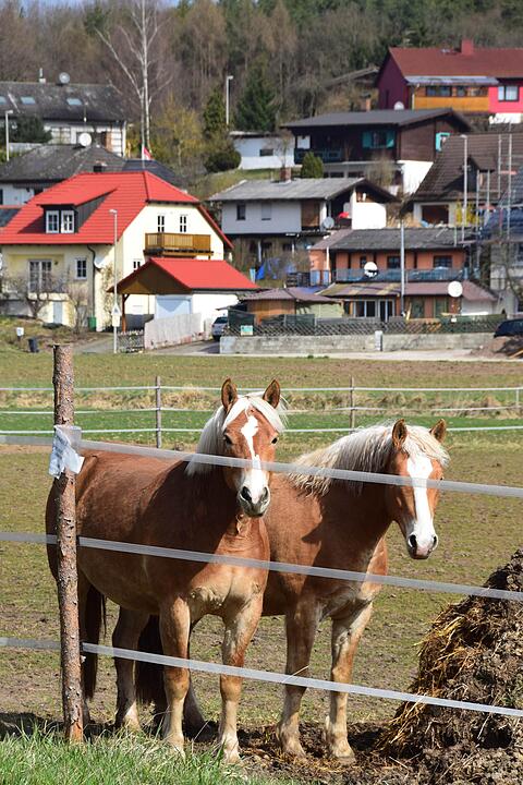 Ailsbach (21)
