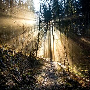Die schönsten Frühlingsfotos aus Forchheim und Umgebung