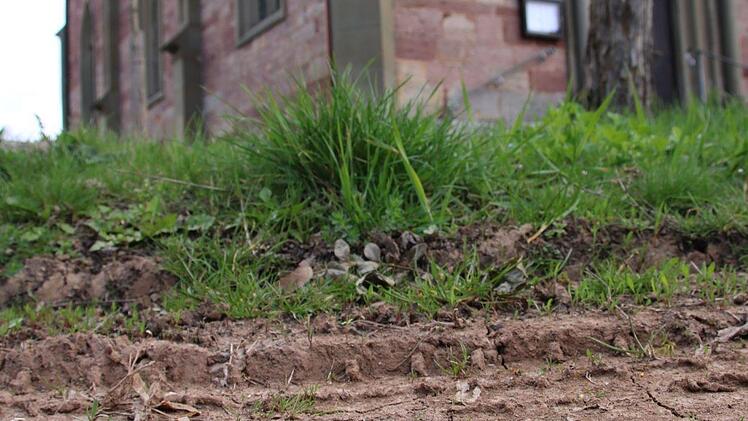 Die Grünfläche vor der Kleinbracher Kirche wird ständig von den Stadtbussen überfahren. Für Abhilfe könnten Pflastersteine sorgen, schlägt ein Stadtrat vor. Foto: Kathrin Kupka-Hahn