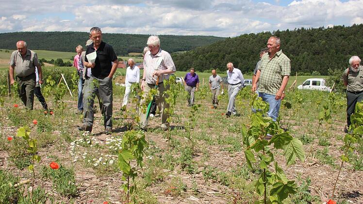 Große Hoffnung ruhen auf dieser Erstaufforstungsfläche bei Welkendorf.