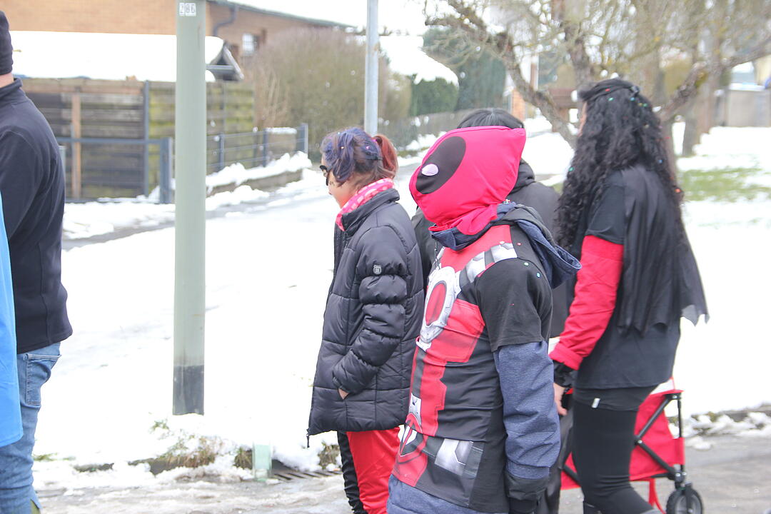 Faschingsumzug in Oberhaid