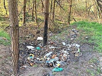Die wilde Müllstelle im Wald bei Beutelsdorf  Foto: privat