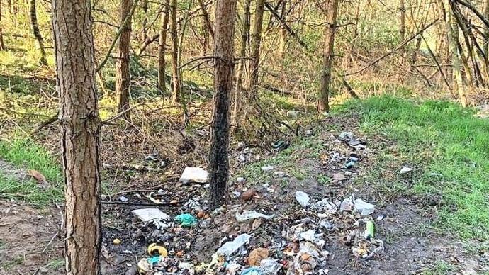 Die wilde Müllstelle im Wald bei Beutelsdorf  Foto: privat