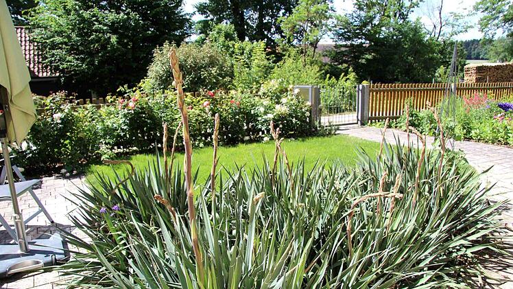 Im Garten der Hausmanns gibt es viel zu entdecken. Foto: Richard Sänger