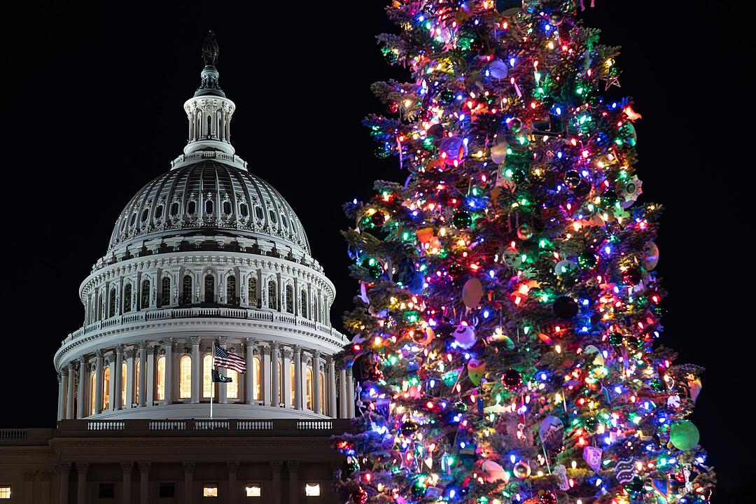 Weihnachtsbäume - Washington