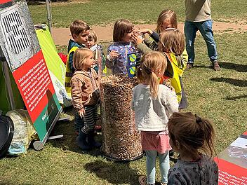 Katastrophe im Bamberger Hain: Mehr Kippen als Insekten