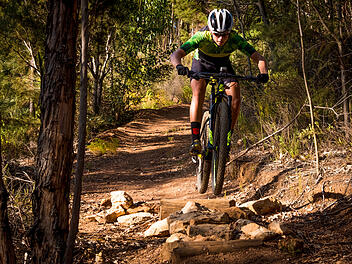 Mountainbike, Trail, Fahrrad, Wald, Sommer