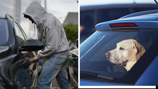 SplitImage 1754504665