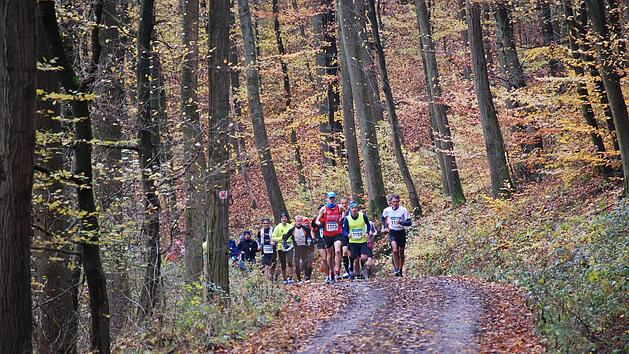 Ebenso bunt wie die Bl&auml;tterkulisse im Zeiler Wald wird die L&auml;uferschar sein, die am Samstag den Waldmarathon in Angriff nehmen wird.  Foto: PR