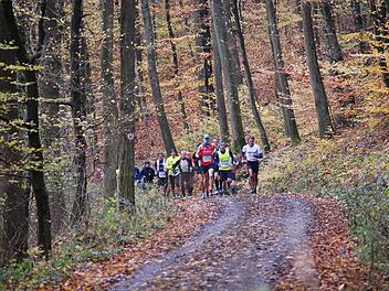 Ebenso bunt wie die Blätterkulisse im Zeiler Wald wird die Läuferschar sein, die am Samstag den Waldmarathon in Angriff nehmen wird.  Foto: PR
