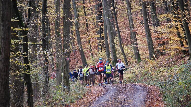 Ebenso bunt wie die Blätterkulisse im Zeiler Wald wird die Läuferschar sein, die am Samstag den Waldmarathon in Angriff nehmen wird.  Foto: PR