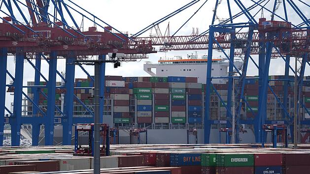 Container Terminal Tollerort im Hamburger Hafen