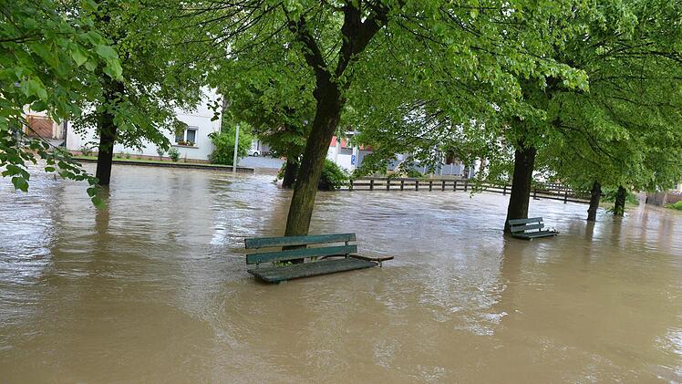 Wiesengiech. Foto:Ronald Rinklef