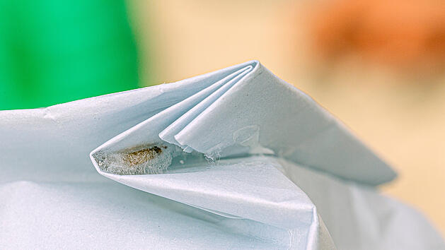 Lebensmittelmotten loswerden: So bek&auml;mpfst du die Sch&auml;dlinge