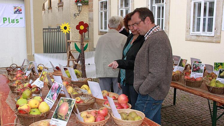 Die Apfelausstellung half, neben dem Fachmann, auch so manchem Besucher des Marktes bei der Bestimmung der Apfelsorten im eigenen Garten. "Schau mal, ich glaub das war der" oder "Genau, so hat der damals geheißen" hört man an dieser Stelle öfters. Foto: Katharina Becht
