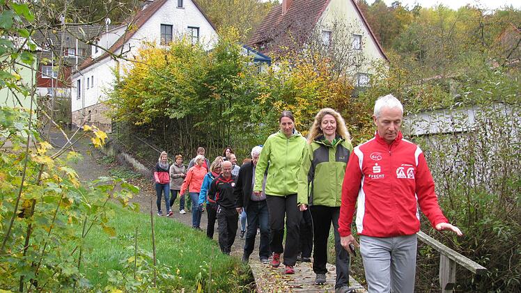 Zum Abschluss der Übungsleiter-Fortbildung präsentierte Eberhard Helm (vorne) ein Beispiel für "Bewegung mit Freude und ohne Leistungsdruck" auf einer Rundwanderung in und um Unterelsbach. Das Foto zeigt die Gruppe bei der Überquerung der Sonder.  Georg Will