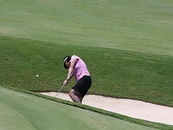 Geschützter Waldrapp von Golfball tödlich getroffen Geschützter Waldrapp von Golfball tödlich getroffen
