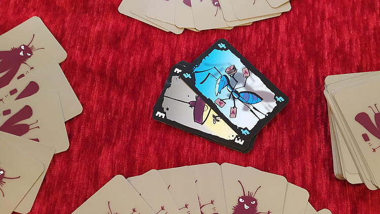 Mogel Motte im Test - das Kartenspiel, bei dem Schummeln erlaubt ist