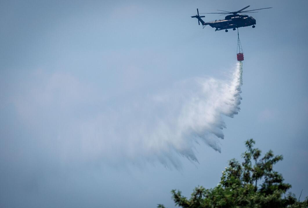 Waldbrand im M&uuml;ritz-Nationalpark