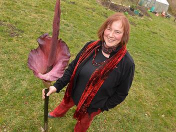 Der "Titanwurz" in voller Blüte: Dagmar Stein präsentiert die außergewöhnliche Pflanze. Foto: Ronald Rinklef