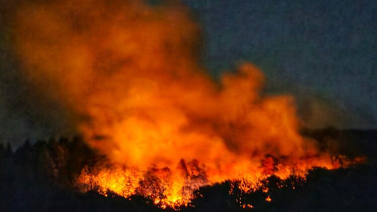 Brand in Waldgebiet mit Kampfmitteln