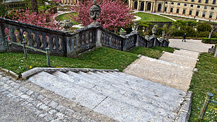 Baumblüte im Hofgarten der Würzburger Residenz