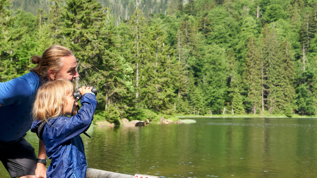 Tourismusverband Ostbayern e. V.: Plane deinen perfekten Familienurlaub im Bayerischen Wald