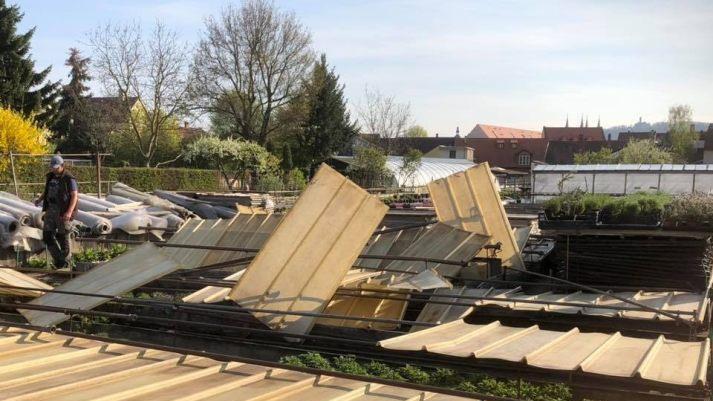 Foto: Carmen Dechant