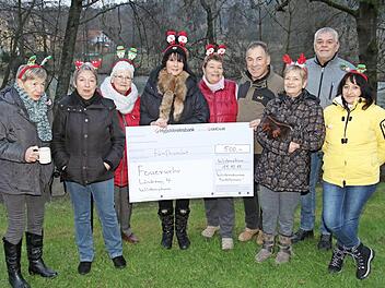 Die Wüstenahorner Bastelfrauen spenden den Erlös aus dem Verkauf von Adventskränzen und Weihnachtsdeko dem Löschzug 4 der Freiwilligen Feuerwehr Wüstenahorn. Foto: Wolfgang Desombre