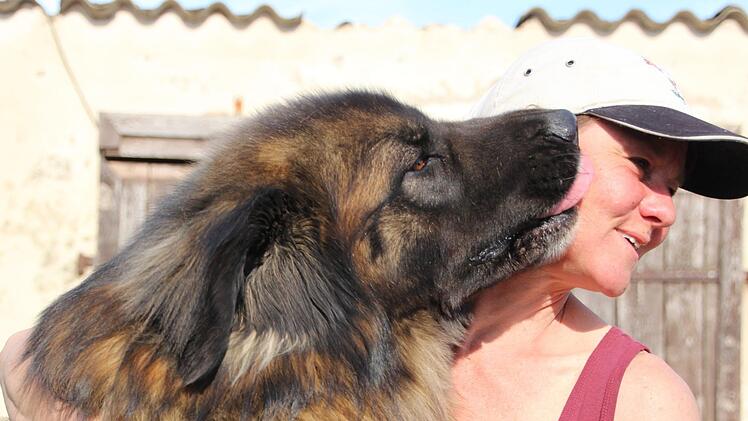 Anton, der große Hofhund, macht es vor: Bussi fürs Frauchen.