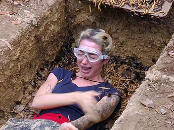 Ich bin ein Star - Holt mich hier raus! - Tag 3