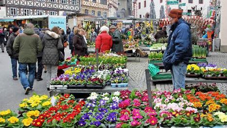 Es wird Frühling - die Blumen geben einen Vorgeschmack.  Fotos: ks