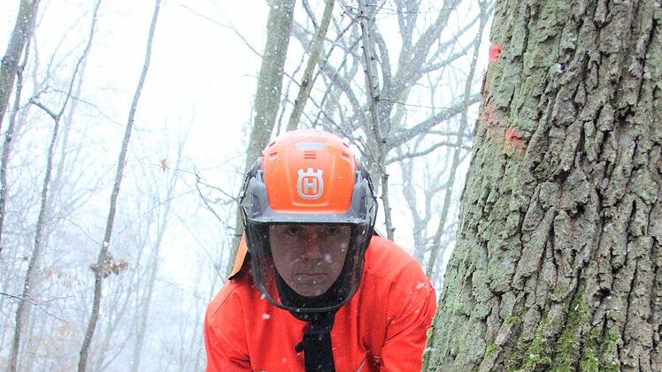 Der richtige Winkel ist entscheidend. Im Regelfall schneidet Hendrik Teutschbein  den Fällkerb im 45-Grad-Winkel von oben in den Stamm. FOTO Diana Fuchs