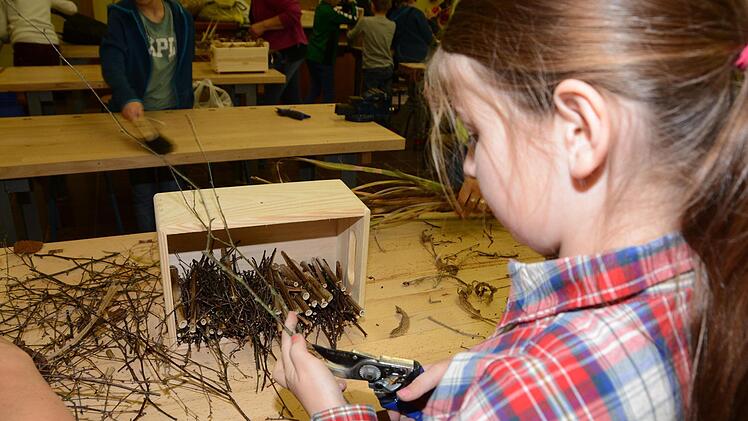 Impressionen vom Nisthilfenbau in der Melkendorfer Grundschule Dagmar Besand