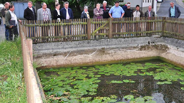 Der Feuerlöschteich in Greßhausen ist ein "Sorgenkind". Denn der Wasserstand ist rapide gesunken.Foto: Ulrike Langer