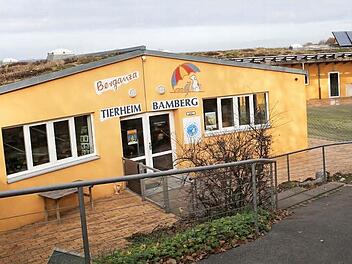 Das Bamberger Tierheim am Rothofer Weg in Gaustadt gerät immer mehr in finanzielle Schieflage. Foto: RiegerPress