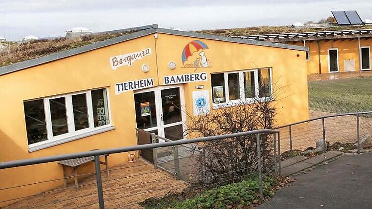 Das Bamberger Tierheim am Rothofer Weg in Gaustadt gerät immer mehr in finanzielle Schieflage. Foto: RiegerPress